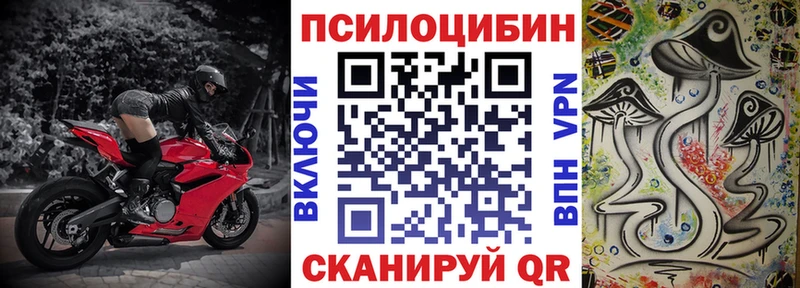 Галлюциногенные грибы мицелий  Пойковский 